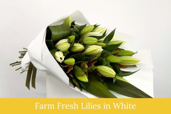 Farm Fresh Lilies White