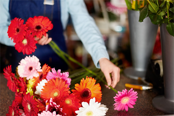 Farm-fresh Gerbera Florist  from Olivieri's Flowers.