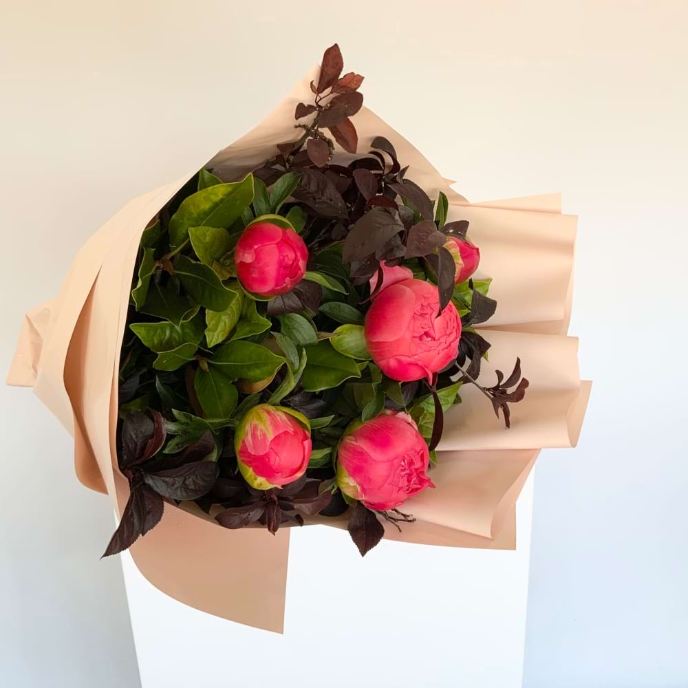 Peonies
